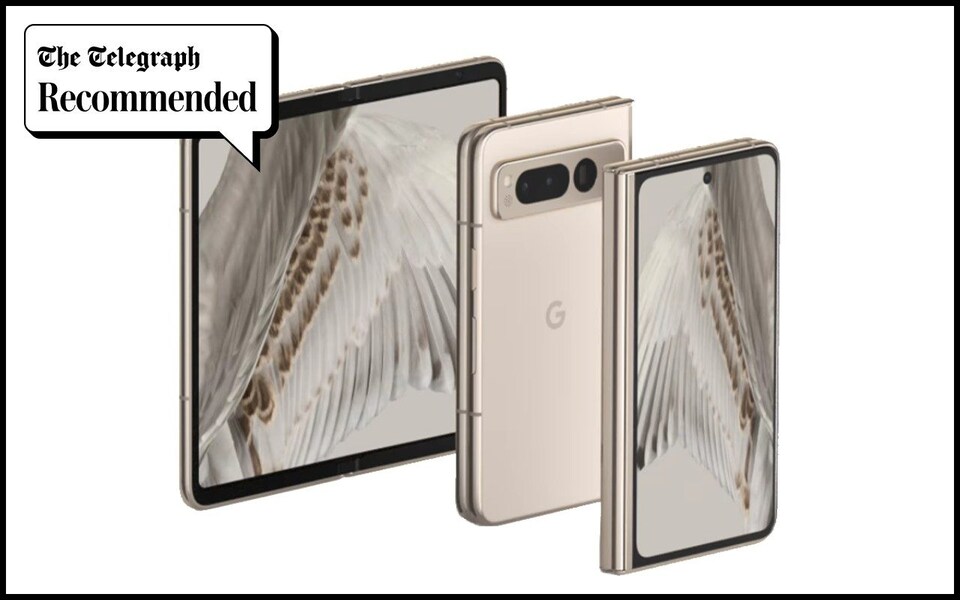 1698114261104133.jpeg 96NTmJwfSVWeZEN7c6bHu2jJnT8.jpeg